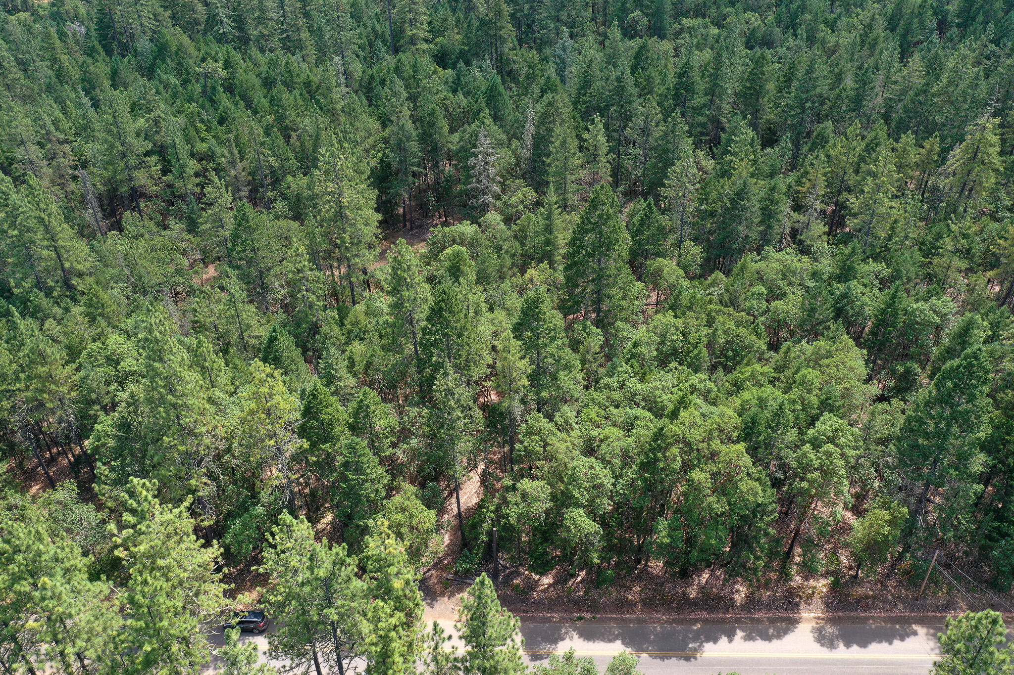 0 Fields Road Williams, OR 97544 - Photo 17 of 21 DJI_0271