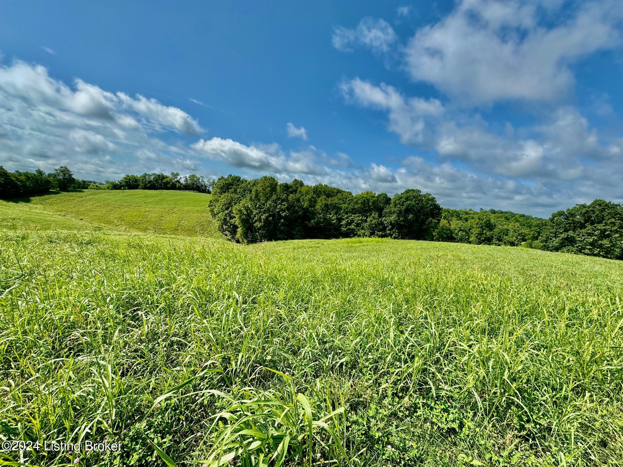 0 Chaplin Road Willisburg, KY 40078 - Photo 7 of 12 IMG_9646