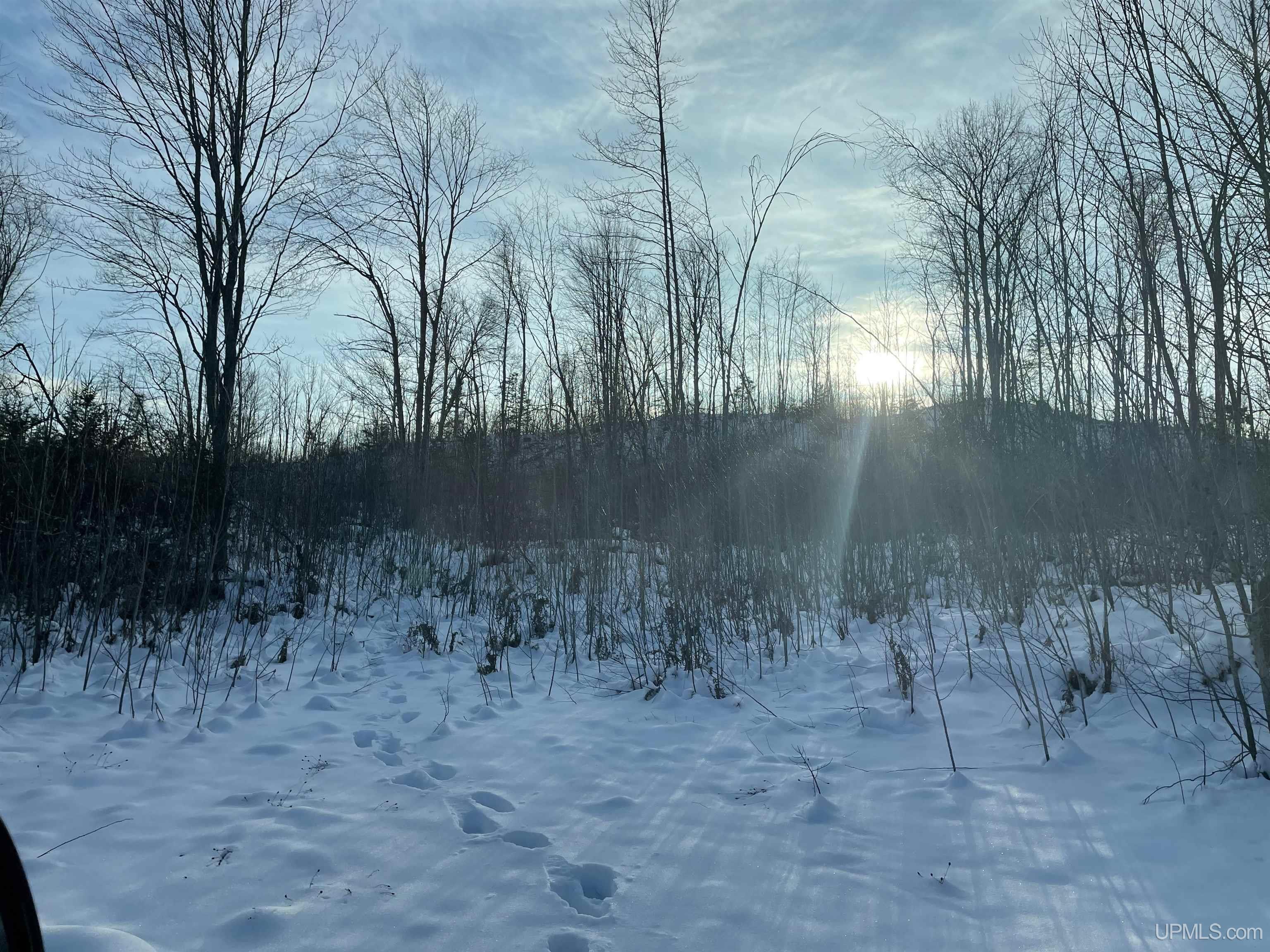 456 Rd Seney Mi 49883 Road Germfask, MI 49836 - Photo 4 of 8