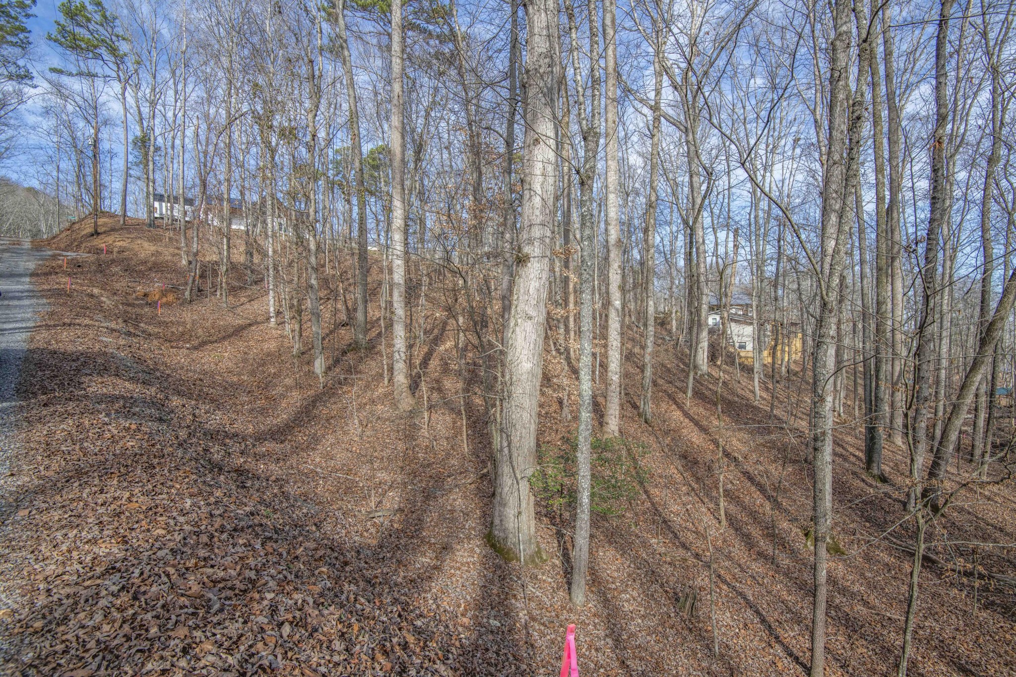 0 Sunset Court Spring City, TN 37381 - Photo 10 of 27 Gallery Image 10
