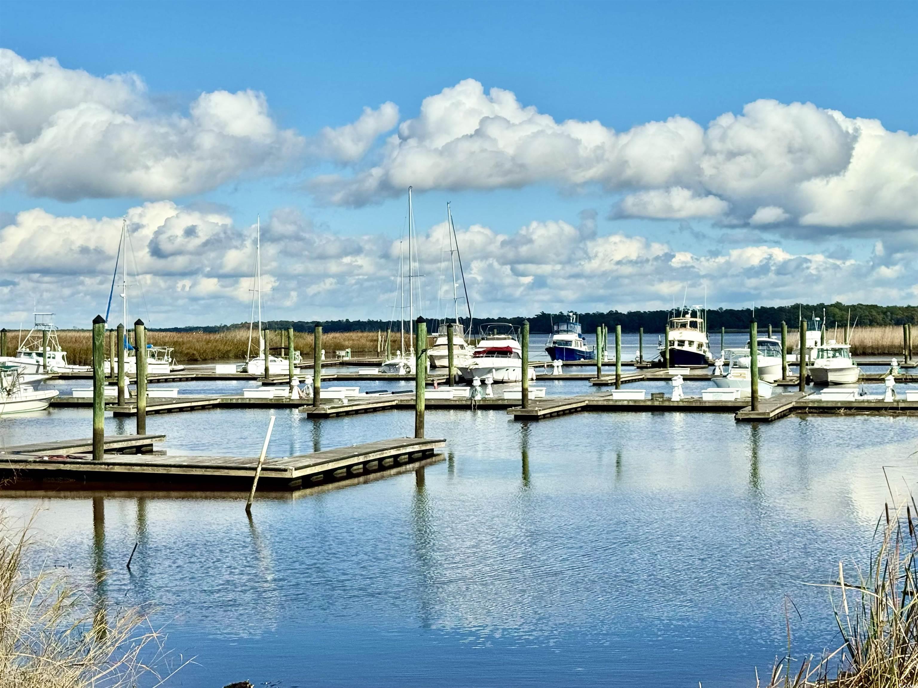 31 Battery White Court, Unit 1005 Georgetown, SC 29440 - Photo 18 of 34 Dock area with a water view and view of marina