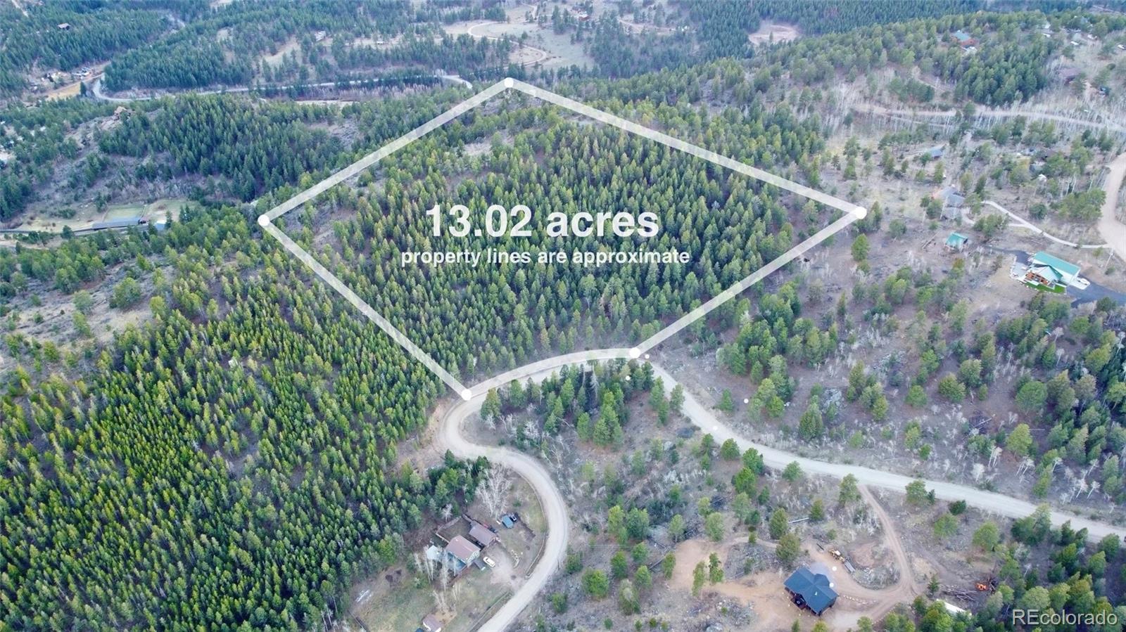 Delwood Drive Bailey, CO 80421 - Photo 2 of 10