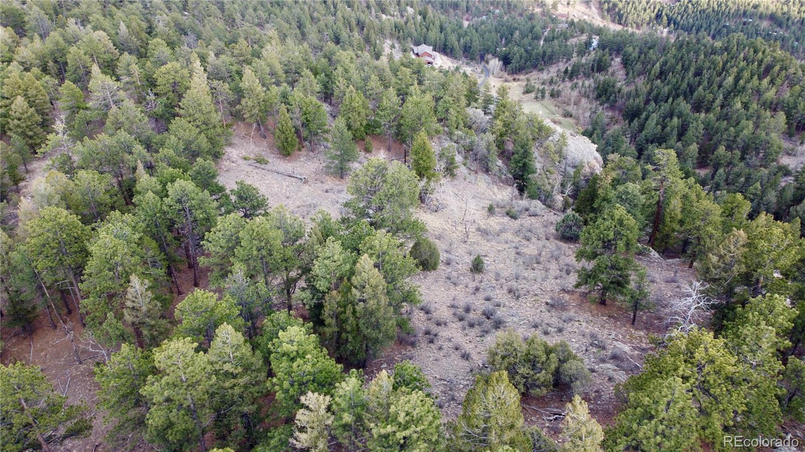 Delwood Drive Bailey, CO 80421 - Photo 3 of 10 a view of a forest with trees and houses