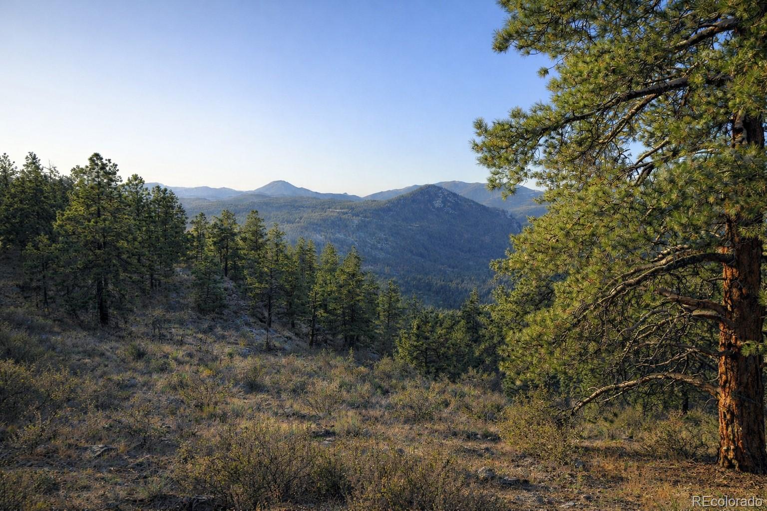 Delwood Drive Bailey, CO 80421 - Photo 4 of 10 a view of a dry yard with green space