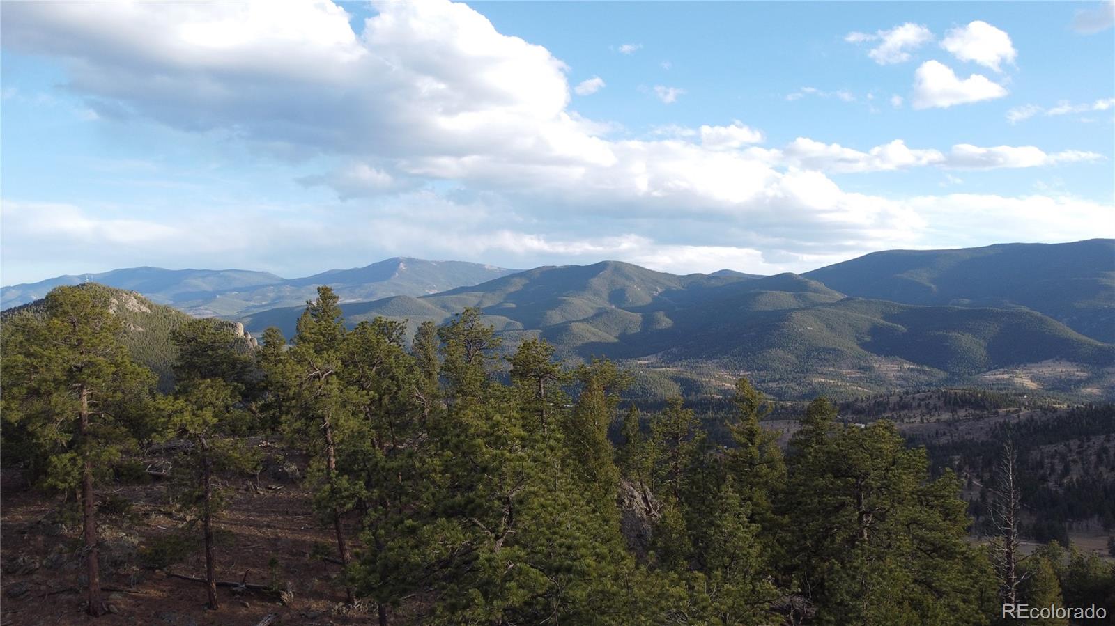 Delwood Drive Bailey, CO 80421 - Photo 6 of 10 a view of a city