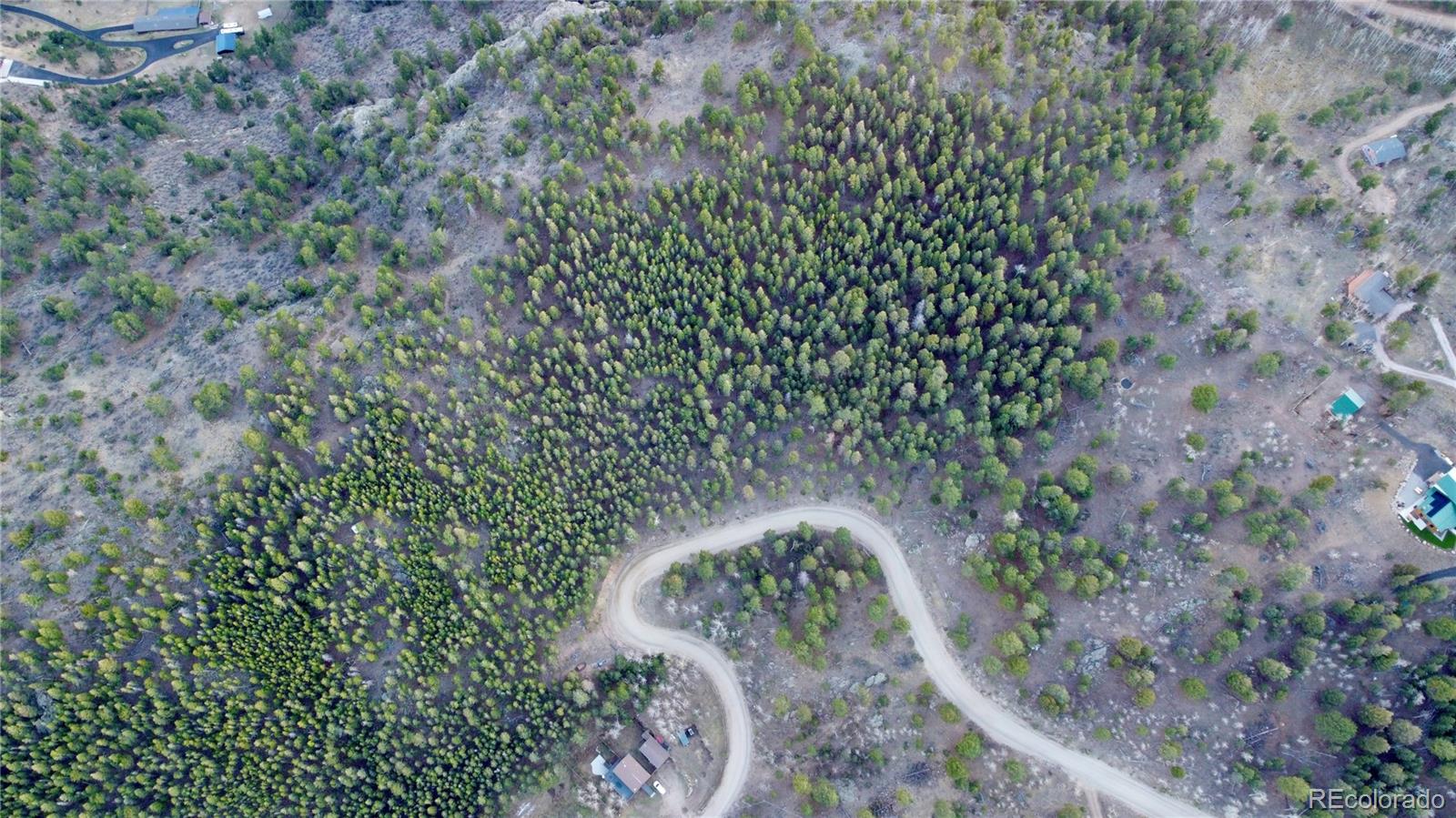 Delwood Drive Bailey, CO 80421 - Photo 6 of 10 a view of a plant in a garden