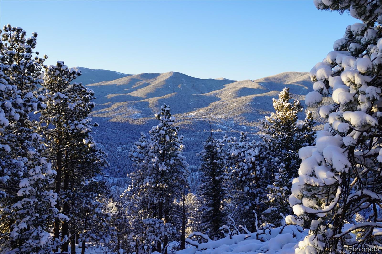 Delwood Drive Bailey, CO 80421 - Photo 8 of 10 a view of a tree in a field with a mountain in the background