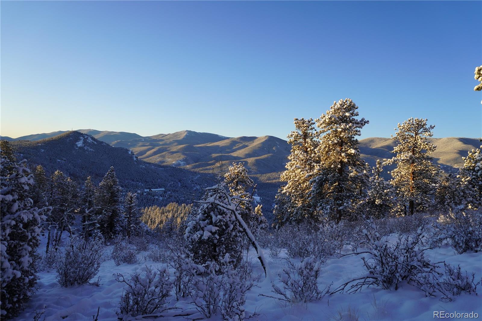 Delwood Drive Bailey, CO 80421 - Photo 10 of 10 a view of a large tree