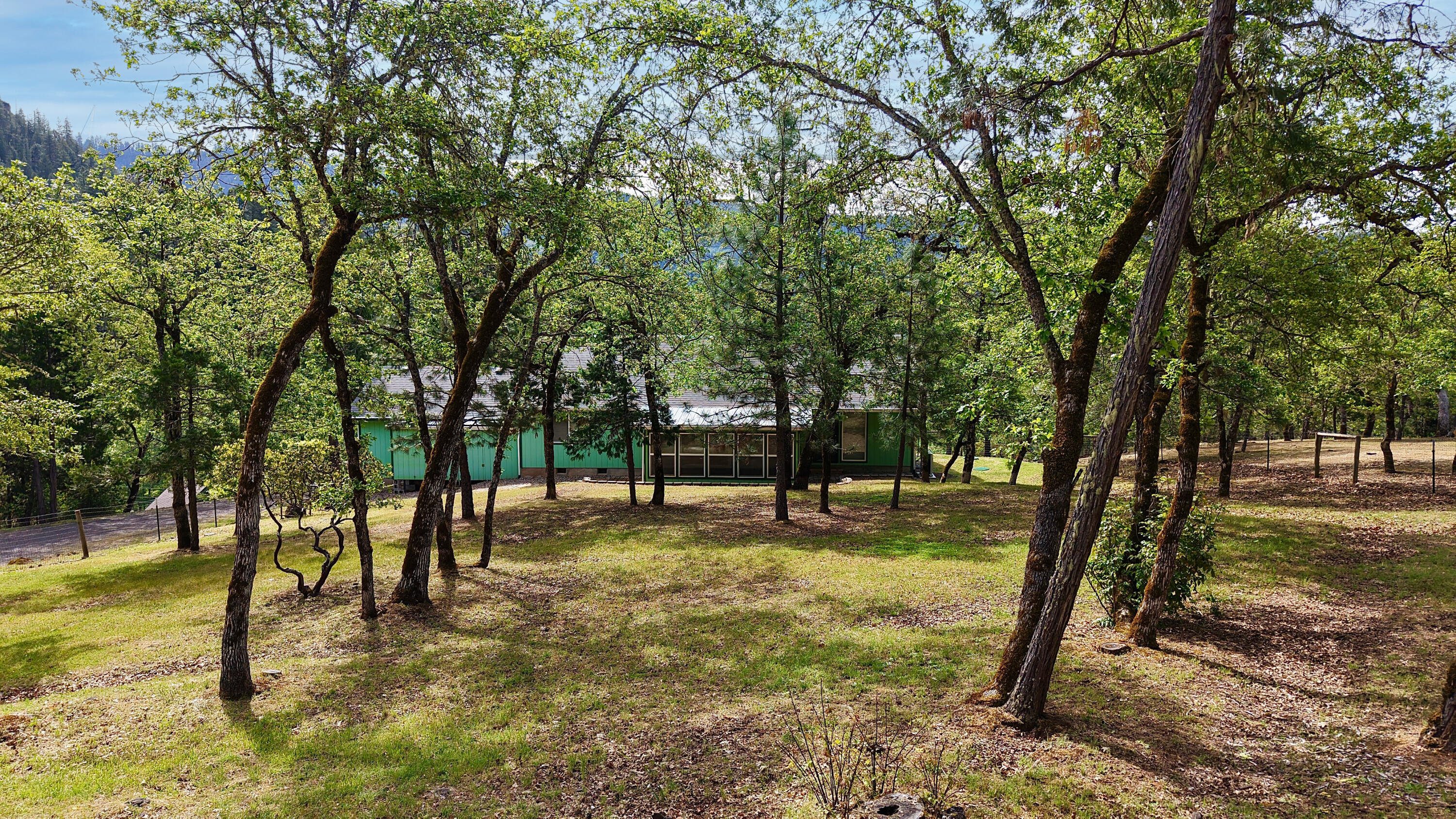 204 Shipley Terrace Prospect, OR 97536 - Photo 57 of 61 a view of a yard with a tree