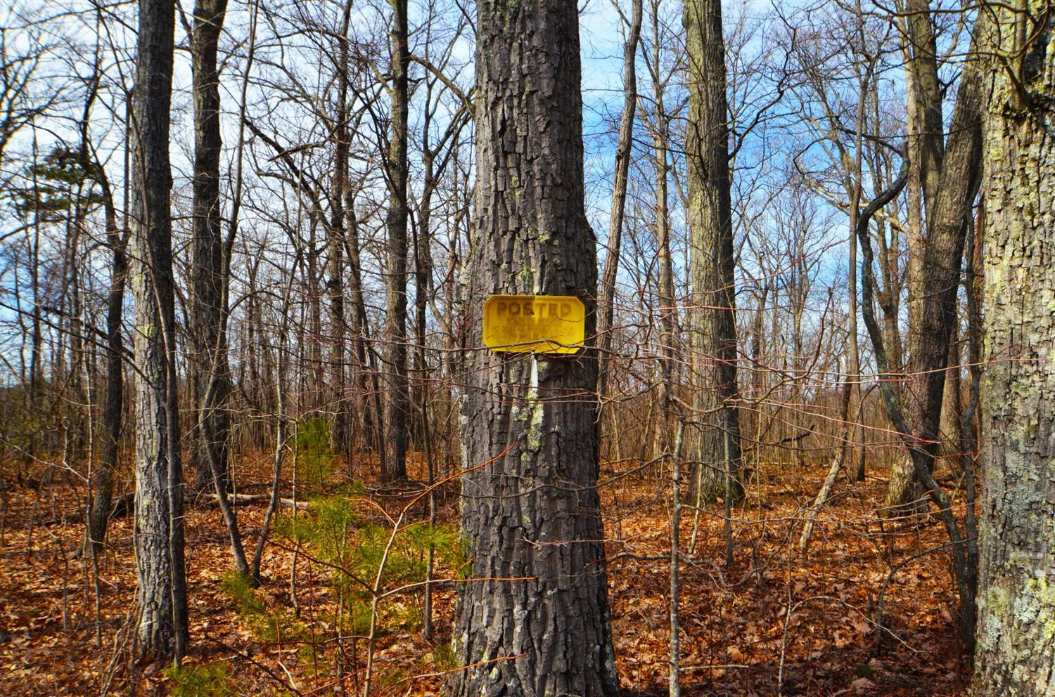 3680 Copper Creek Road Berea, KY 40403 - Photo 11 of 22 Surveyed boundaries are the best!