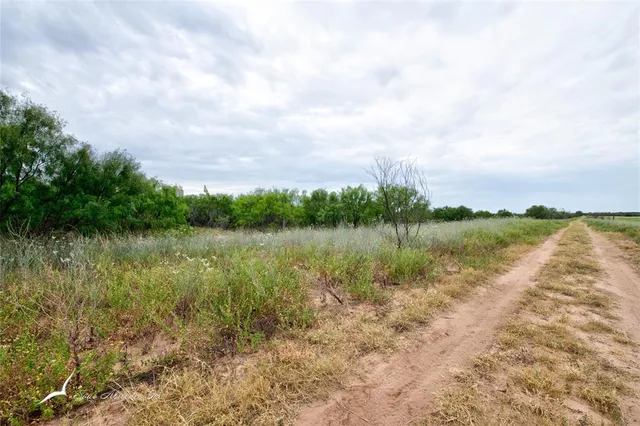 a view of a lake and green valley