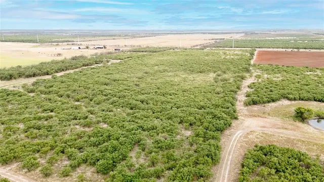 a view of an ocean beach