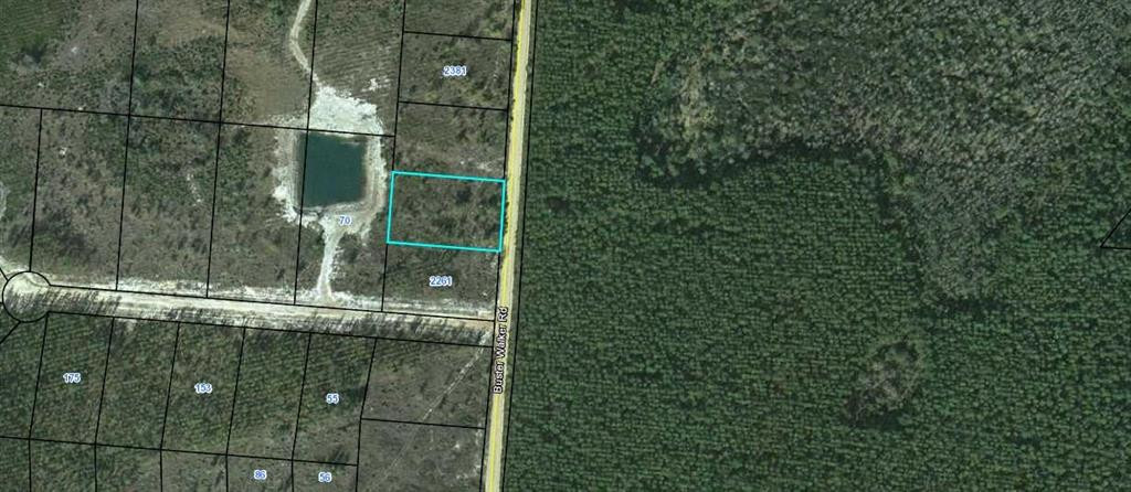 Lot 84 Buster Walker Road, Unit 84 Waynesville, GA 31566 - Photo 1 of 1