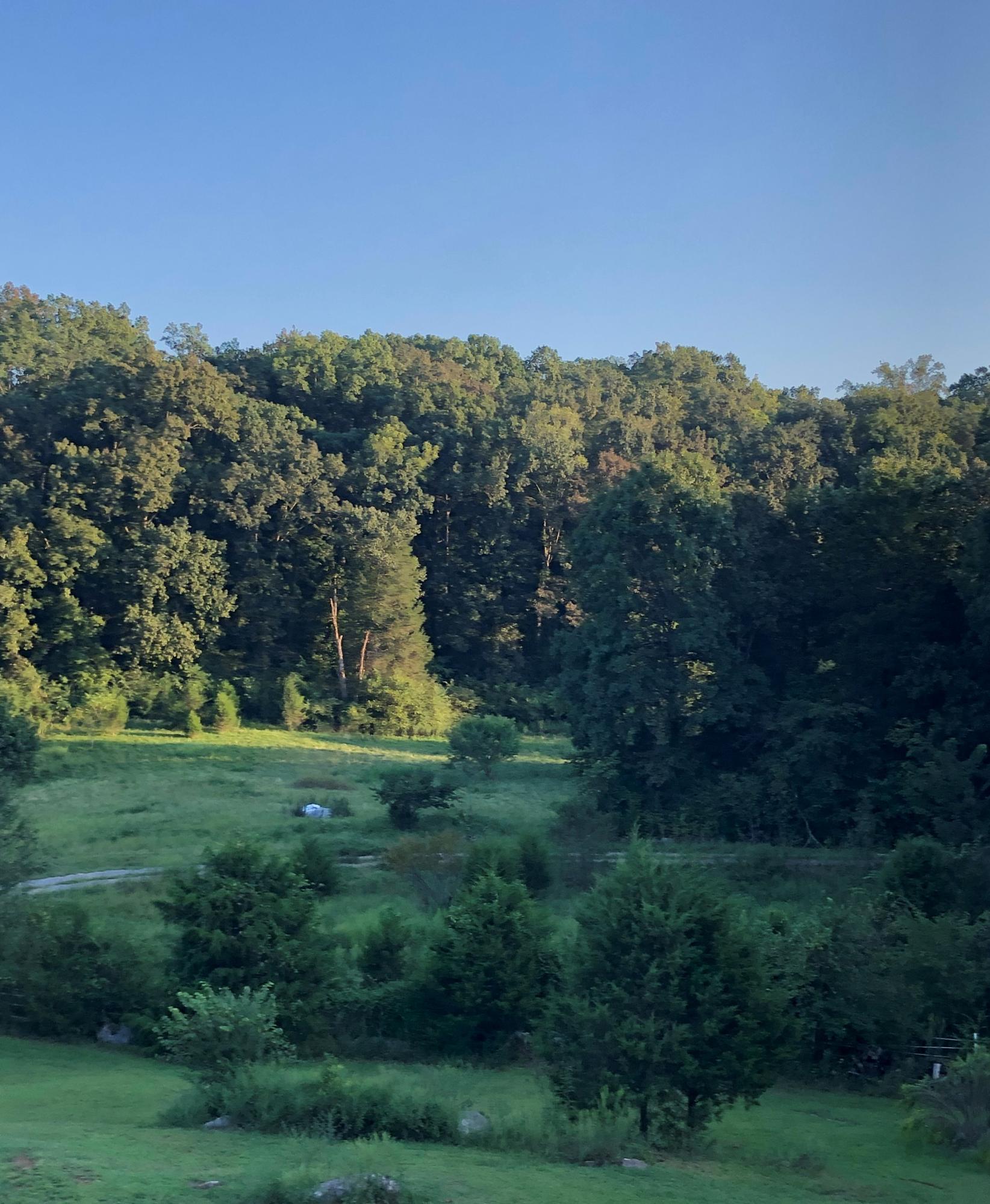 3857 Light Pink Road Louisville, TN 37777 - Photo 17 of 35 Peaceful view from deck