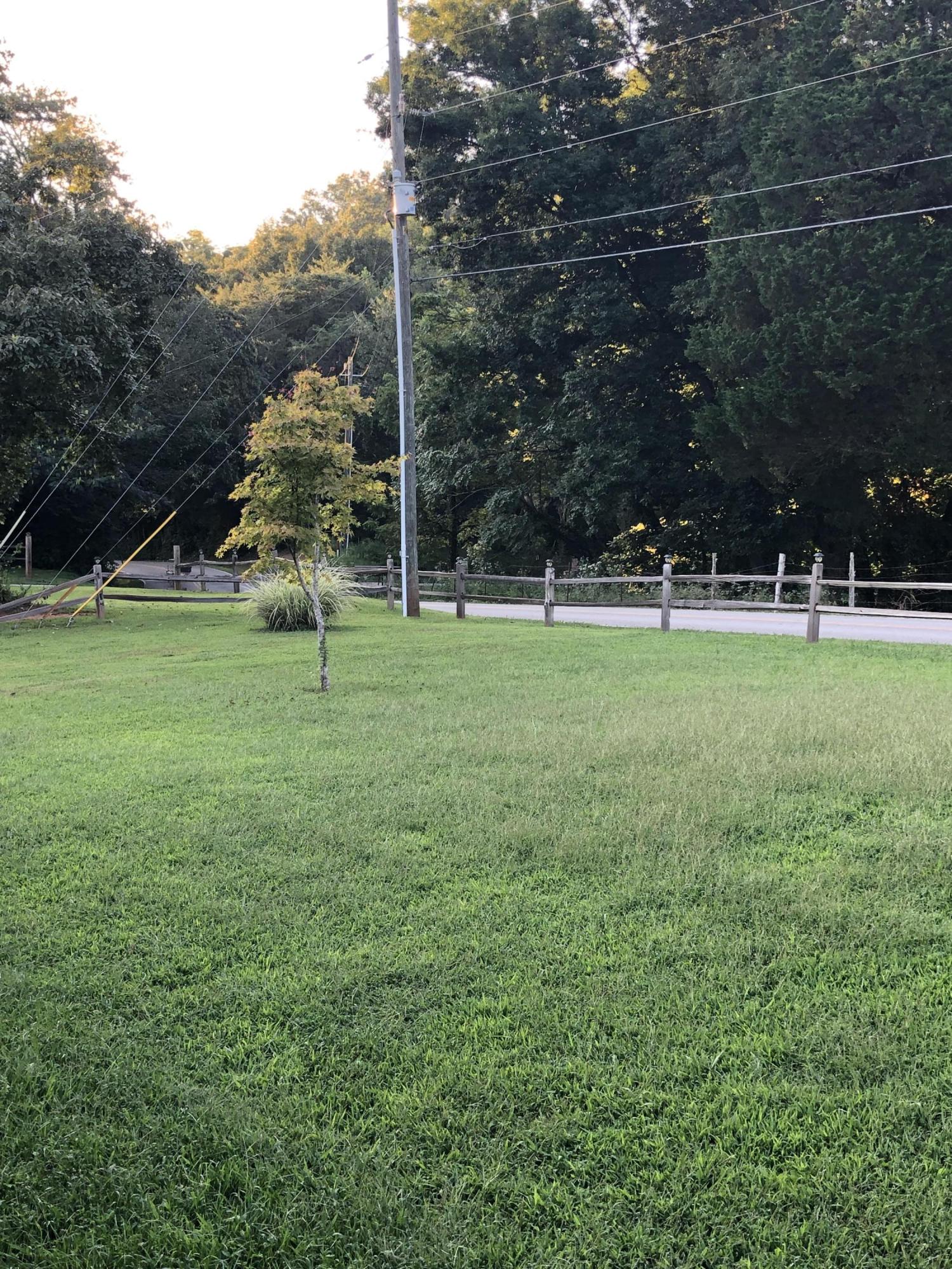 3857 Light Pink Road Louisville, TN 37777 - Photo 6 of 35 View from Front Porch