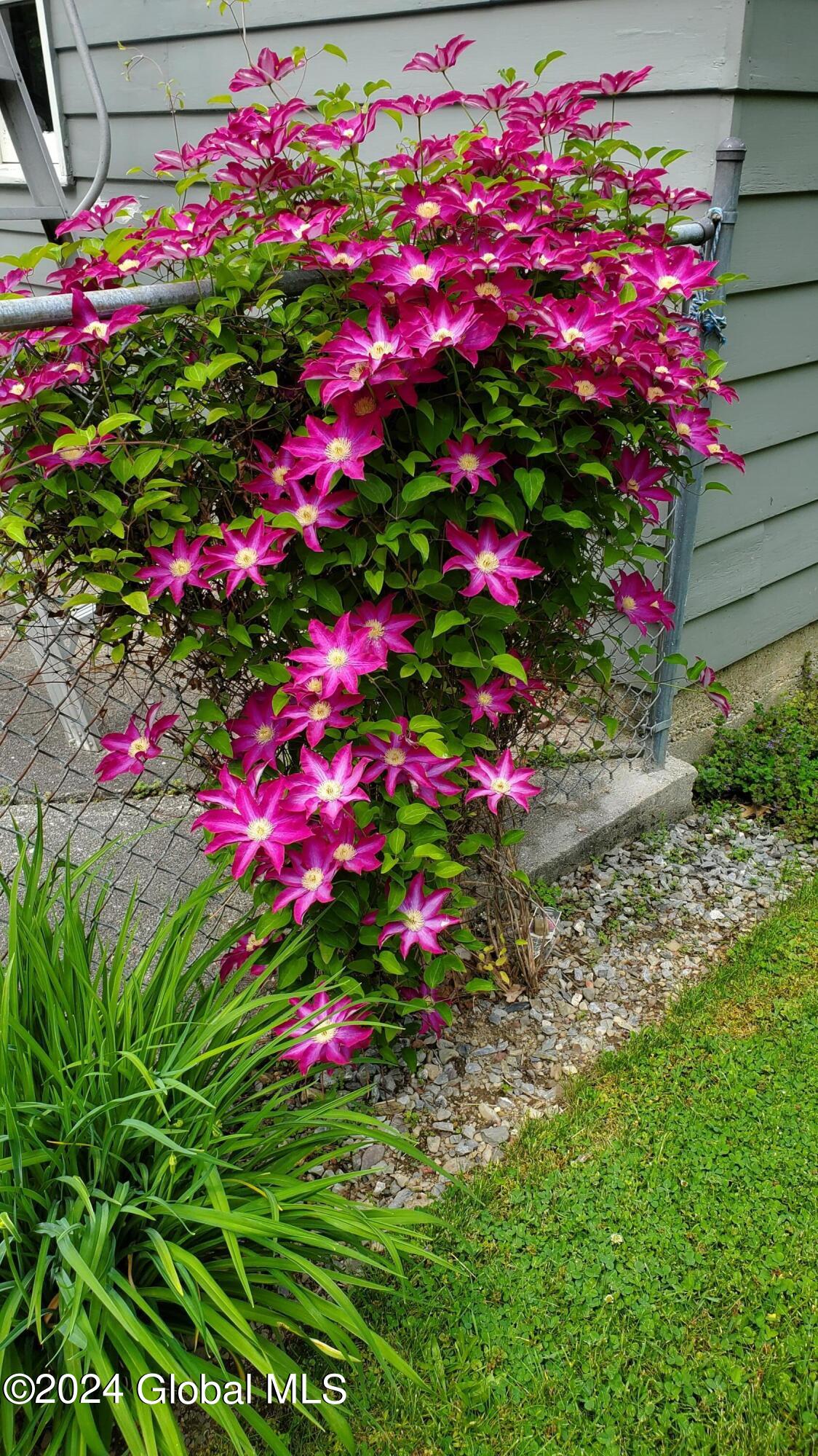 94 Wilson Hill Road Hoosick, NY 12090 - Photo 7 of 49 flowers