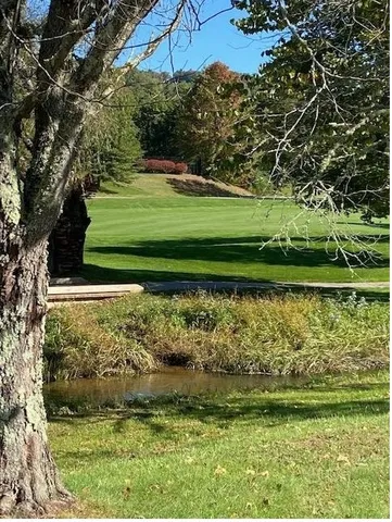 a view of a golf course with a lake