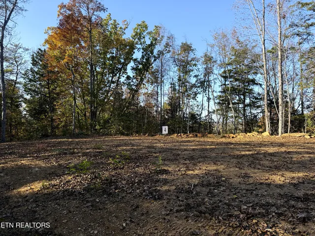 $88,500 | 4 Topaz Way, Parrottsville, TN 37843