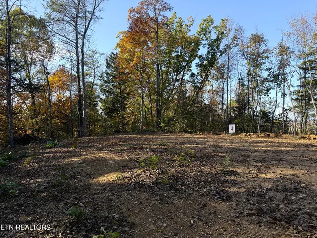 $88,500 | 4 Topaz Way, Parrottsville, TN 37843