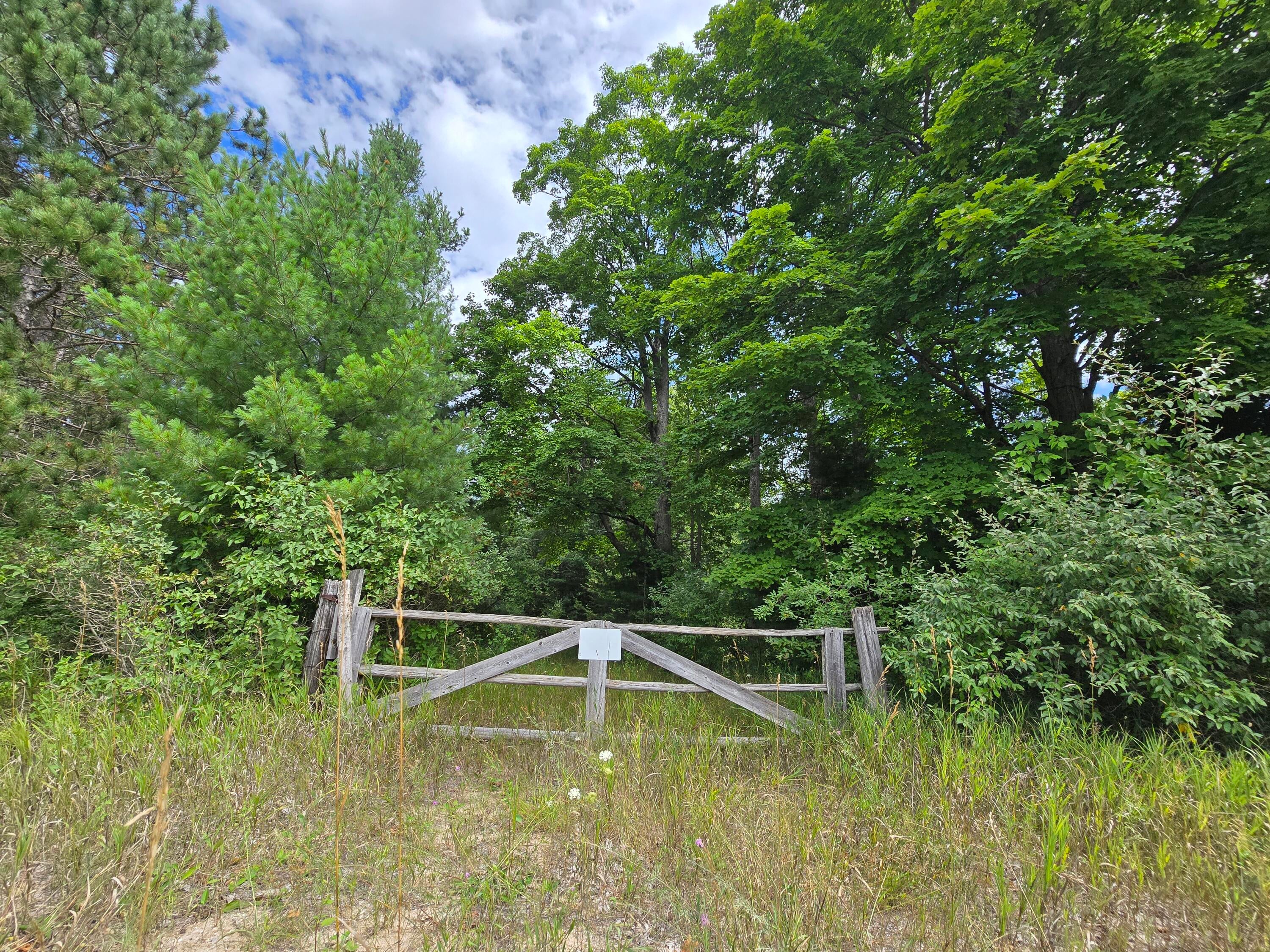 234 Schmid Road Fairview, MI 48621 - Photo 10 of 62 20250818_135322