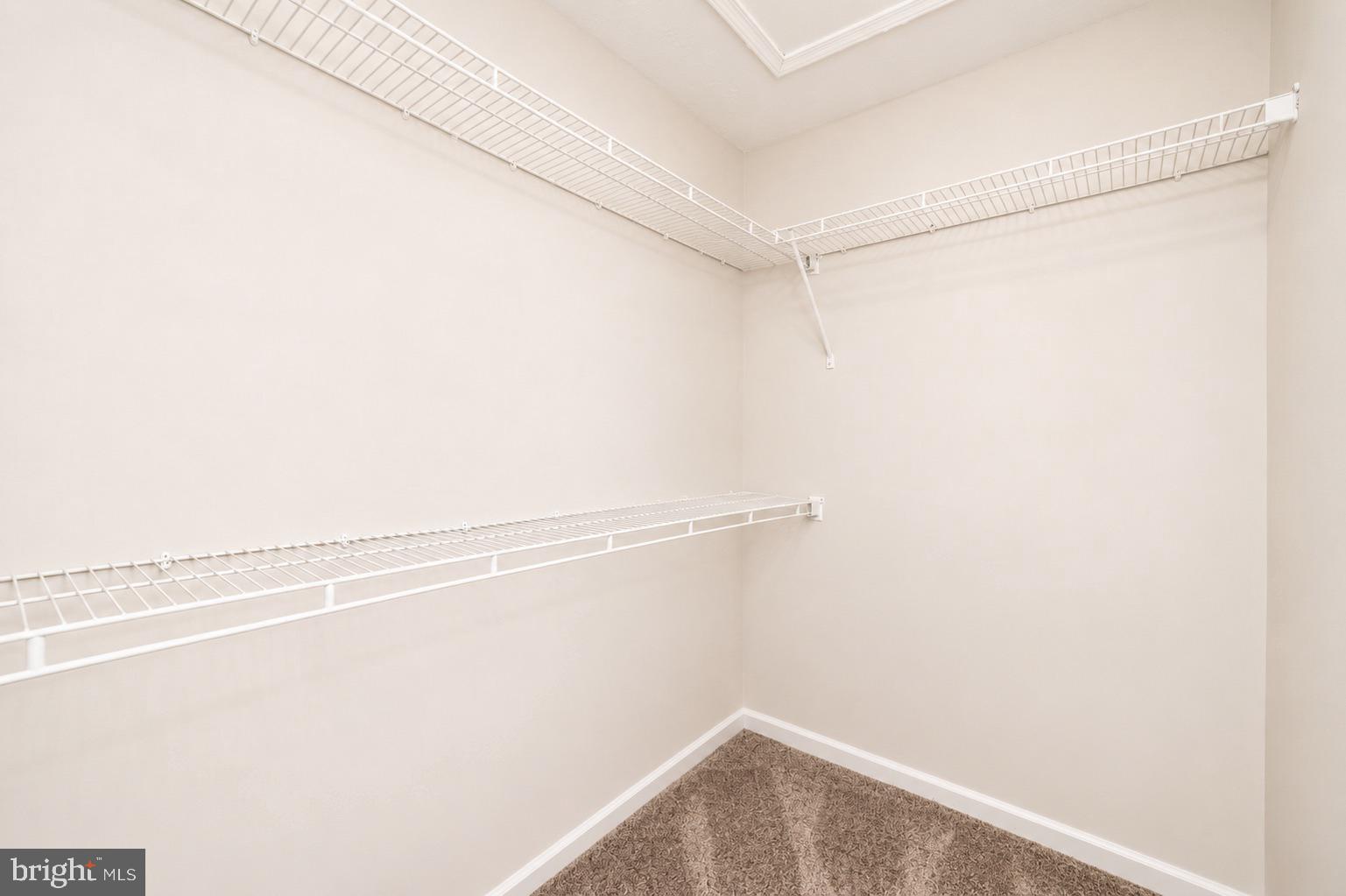 1818 Triple Feather Road, Unit 85 Severn, MD 21144 - Photo 32 of 40 Walk-in Closet