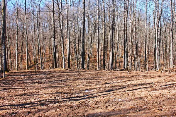 $130,000 | W2352 Eagle Nest Road, Sarona, WI 54870