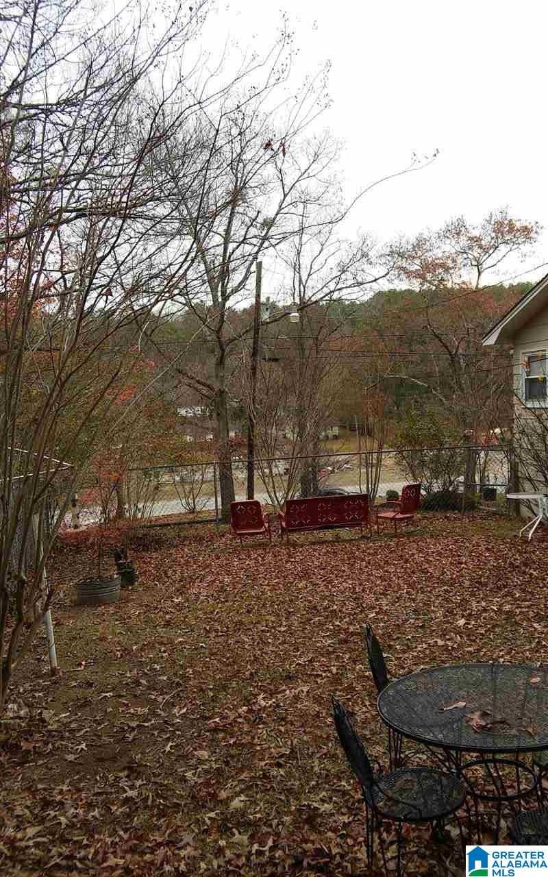 14 Hickory Circle Oneonta, AL 35121 - Photo 3 of 22