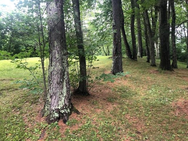 414 South End Road Mount Tabor, VT 05253 - Photo 16 of 26 Gallery Image 16
