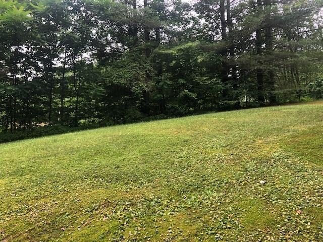 414 South End Road Mount Tabor, VT 05253 - Photo 17 of 26 Gallery Image 17