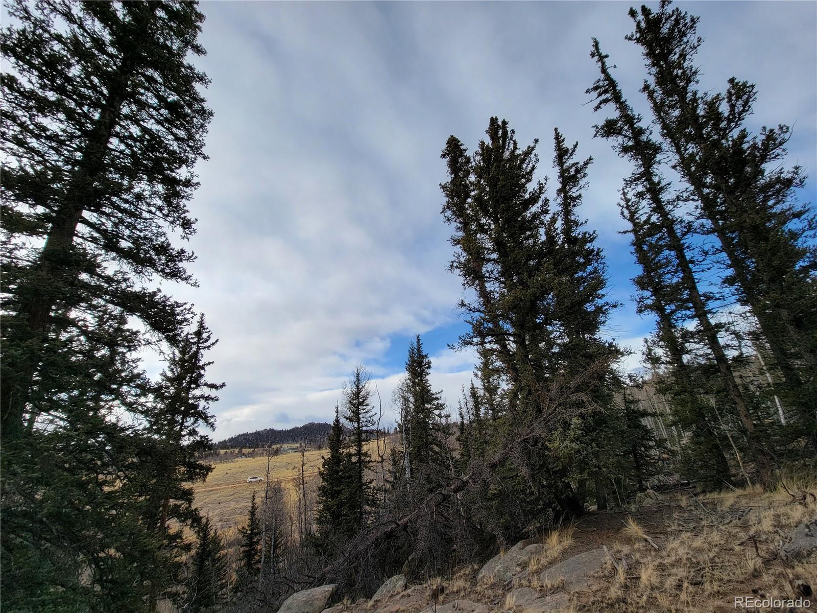 416 Highfill Road Jefferson, CO 80456 - Photo 11 of 17 Gallery Image 11
