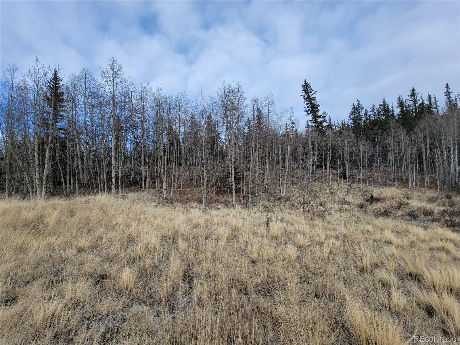 416 Highfill Road Jefferson, CO 80456 - Photo 12 of 17 Gallery Image 12