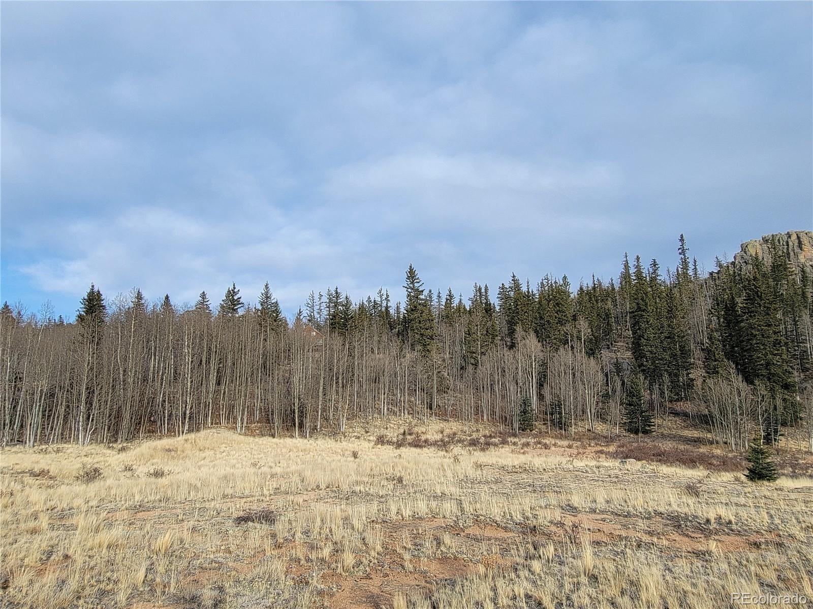 416 Highfill Road Jefferson, CO 80456 - Photo 13 of 17 Gallery Image 13