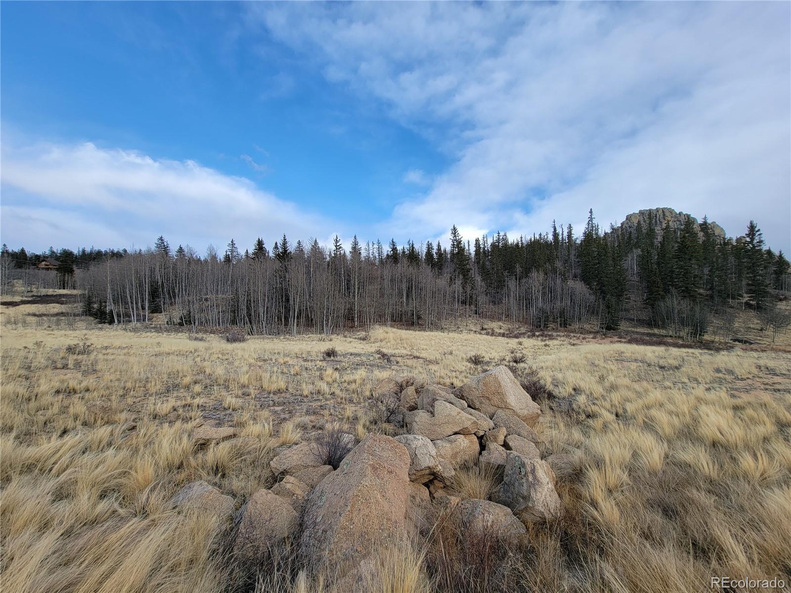 416 Highfill Road Jefferson, CO 80456 - Photo 14 of 17 Gallery Image 14