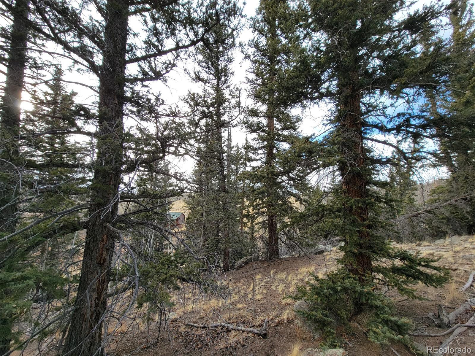 416 Highfill Road Jefferson, CO 80456 - Photo 5 of 17 Gallery Image 5