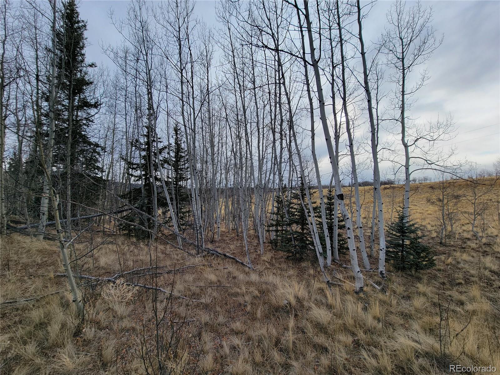 416 Highfill Road Jefferson, CO 80456 - Photo 6 of 17 Gallery Image 6