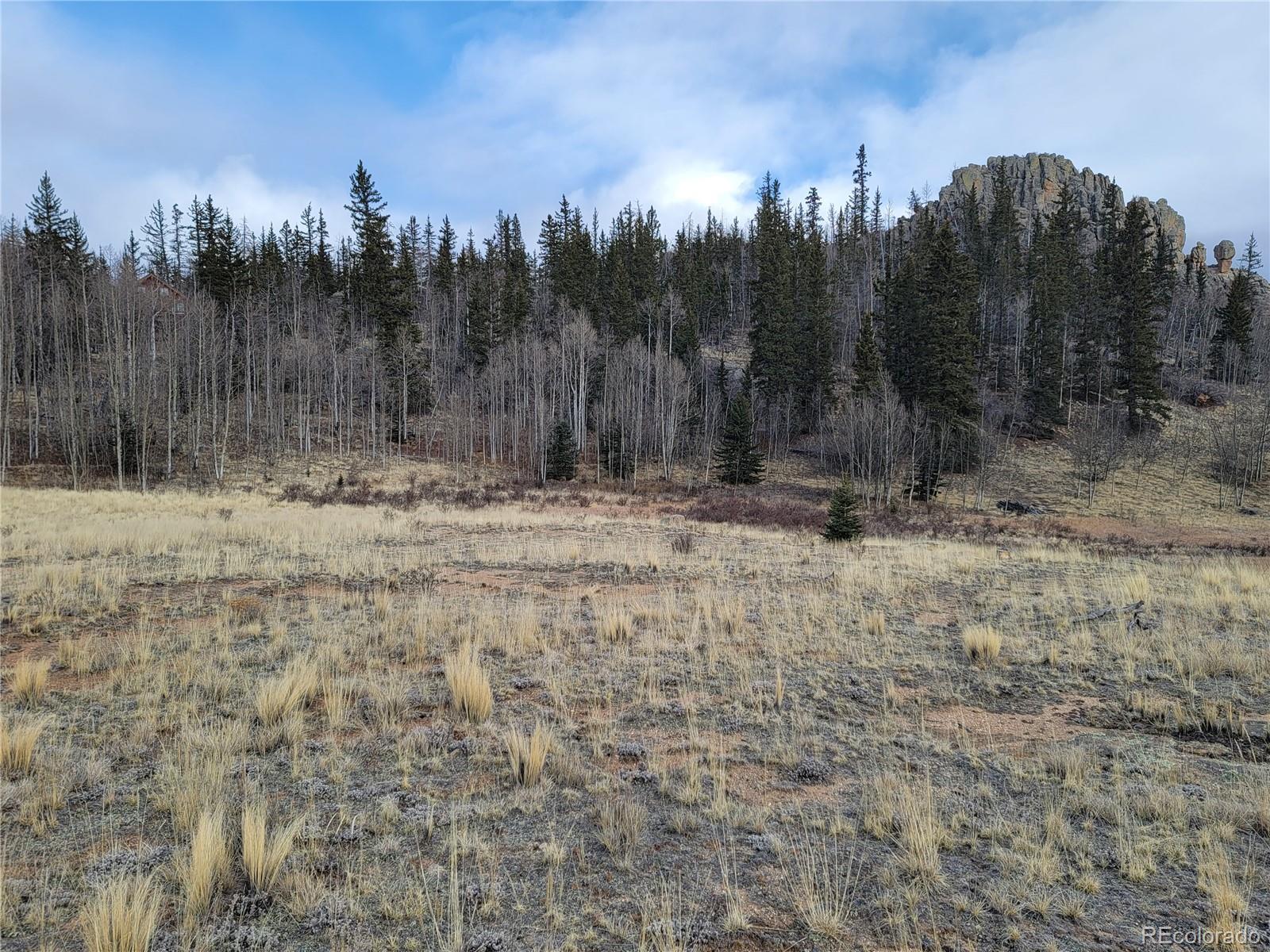 416 Highfill Road Jefferson, CO 80456 - Photo 7 of 17 Gallery Image 7