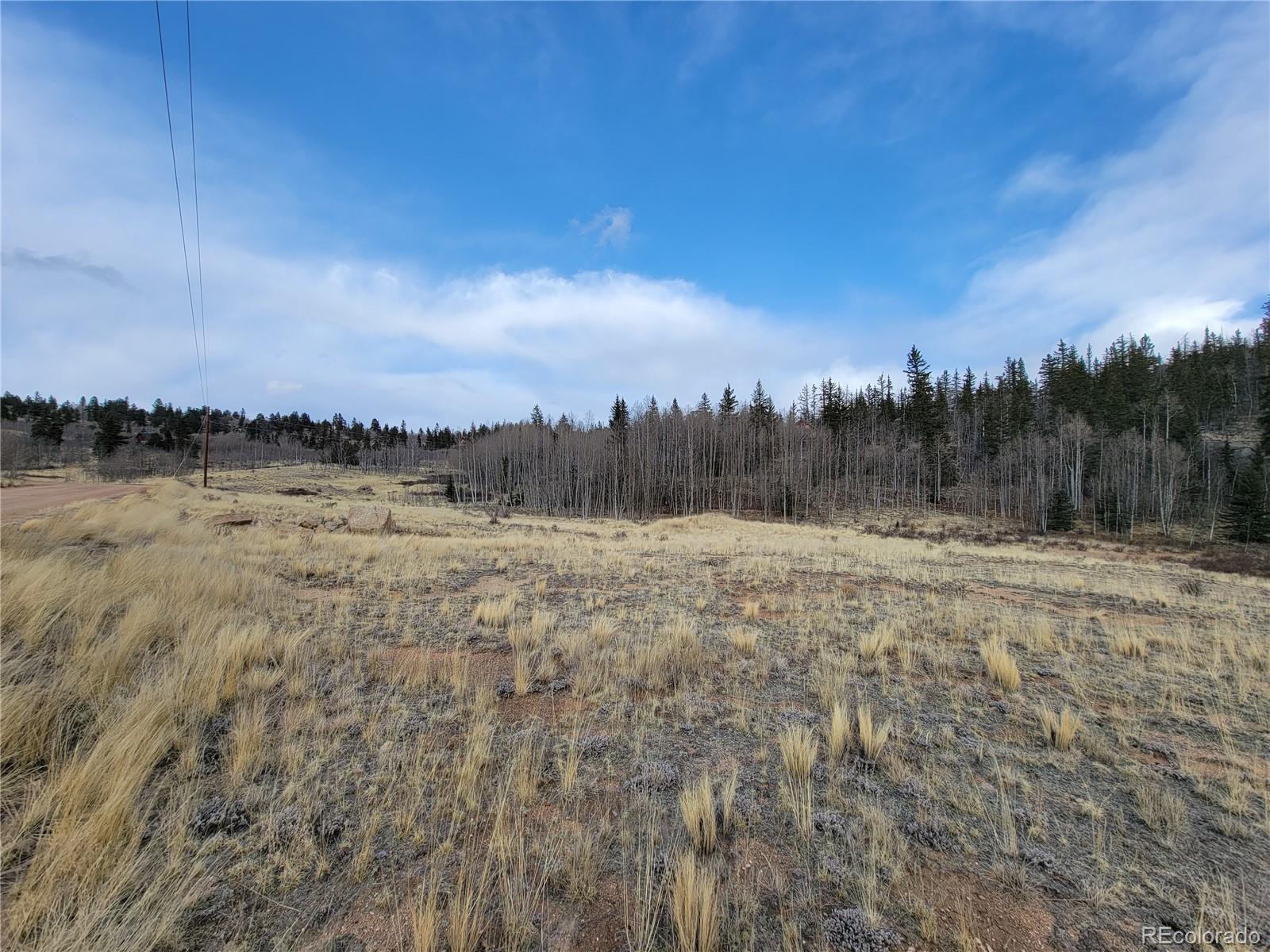 416 Highfill Road Jefferson, CO 80456 - Photo 8 of 17 Gallery Image 8