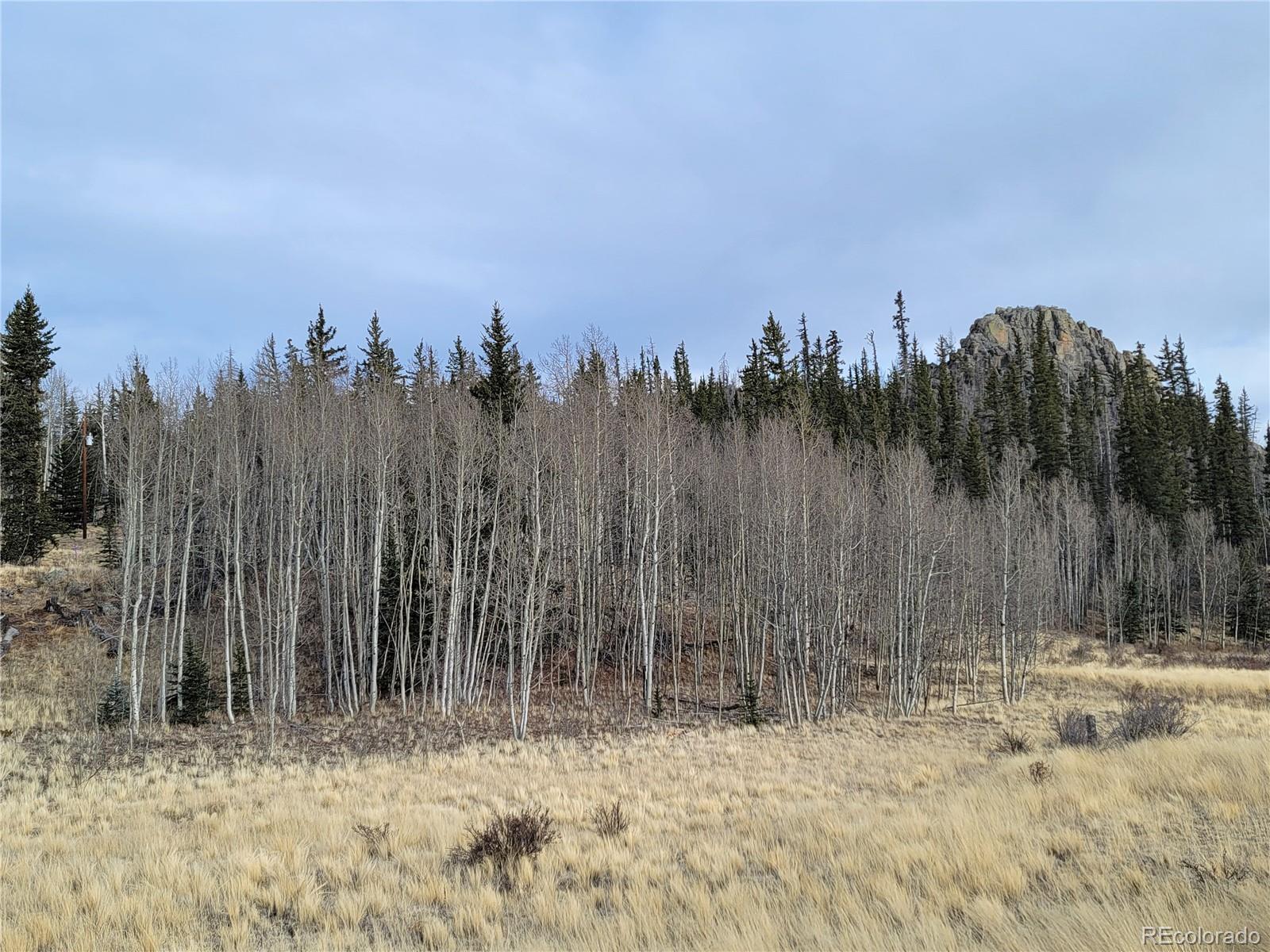 416 Highfill Road Jefferson, CO 80456 - Photo 10 of 17 Gallery Image 10