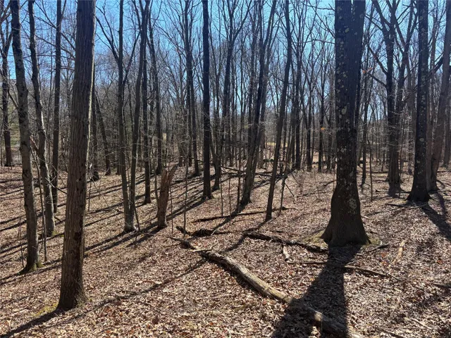 a view of a backyard of the house