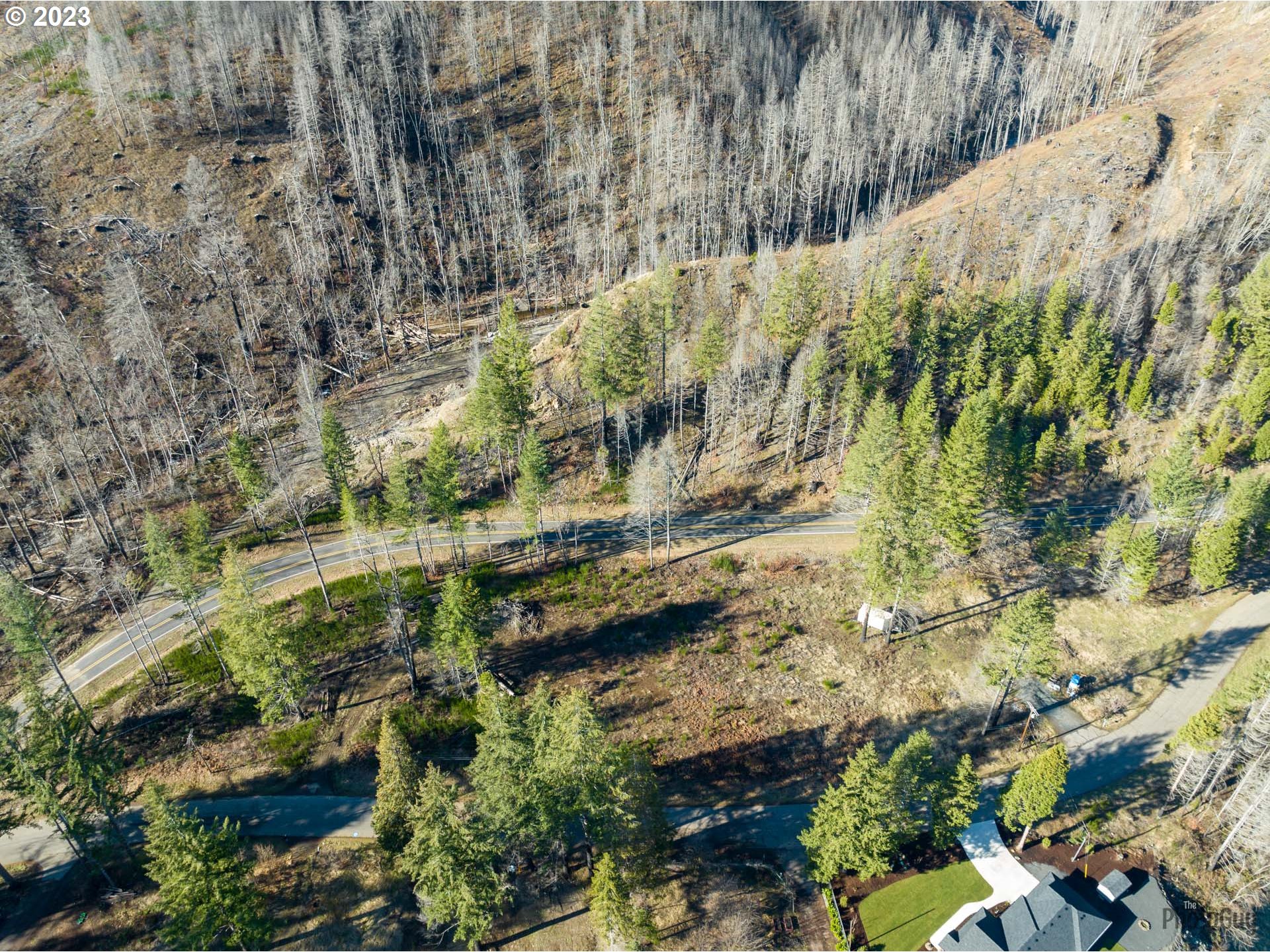 Marbrook Lane Blue River, OR 97413 - Photo 17 of 24 Gallery Image 17