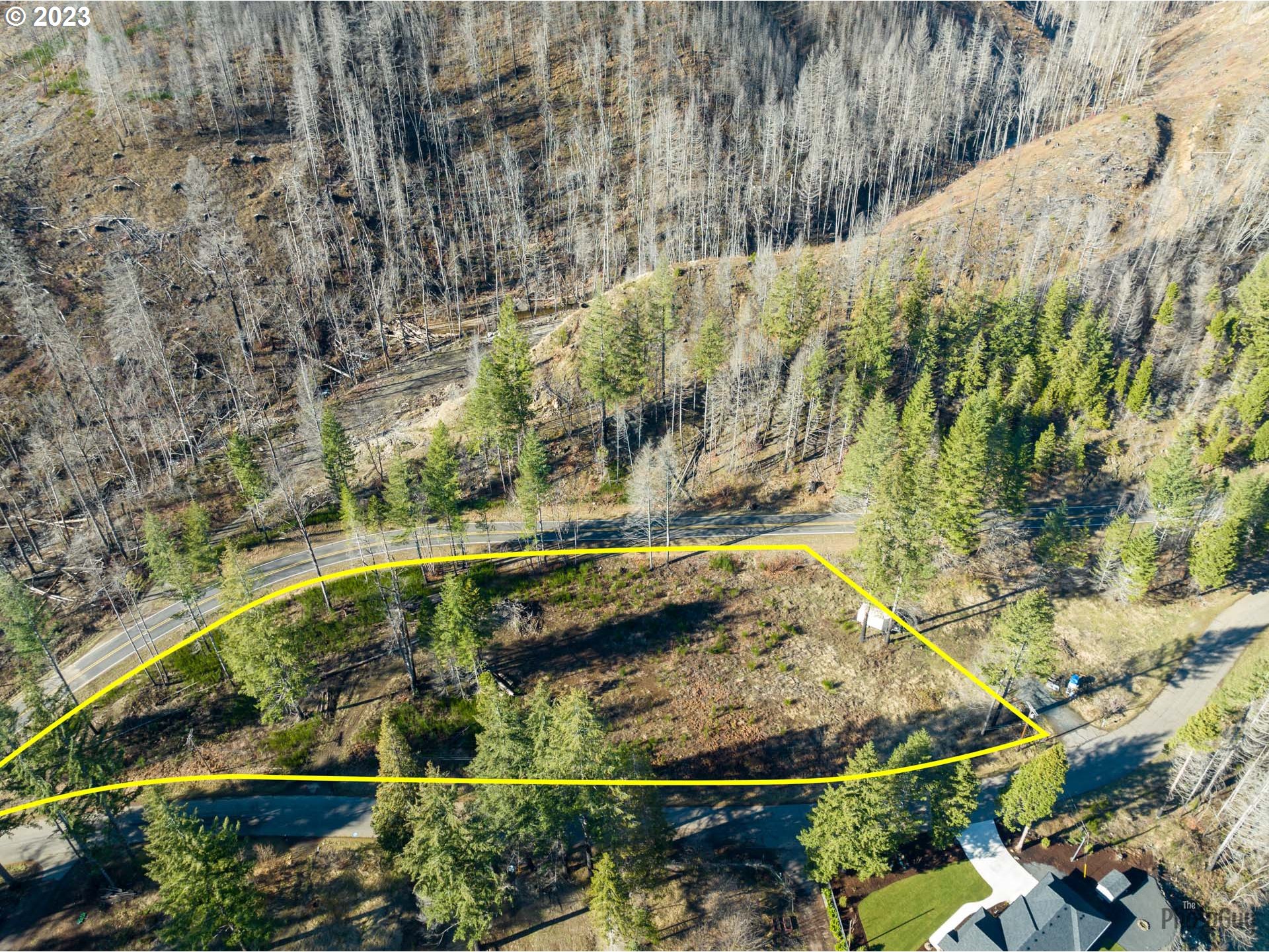 Marbrook Lane Blue River, OR 97413 - Photo 2 of 24 Gallery Image 2