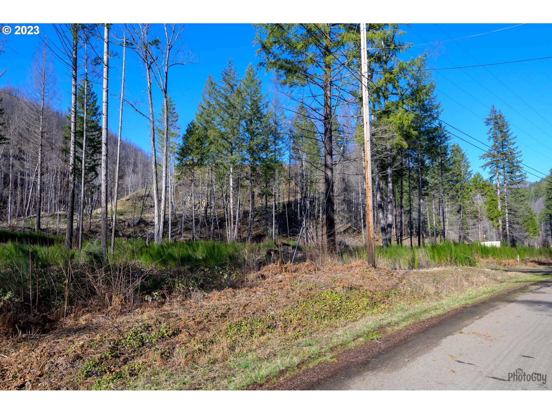 Marbrook Lane Blue River, OR 97413 - Photo 24 of 24 Gallery Image 24