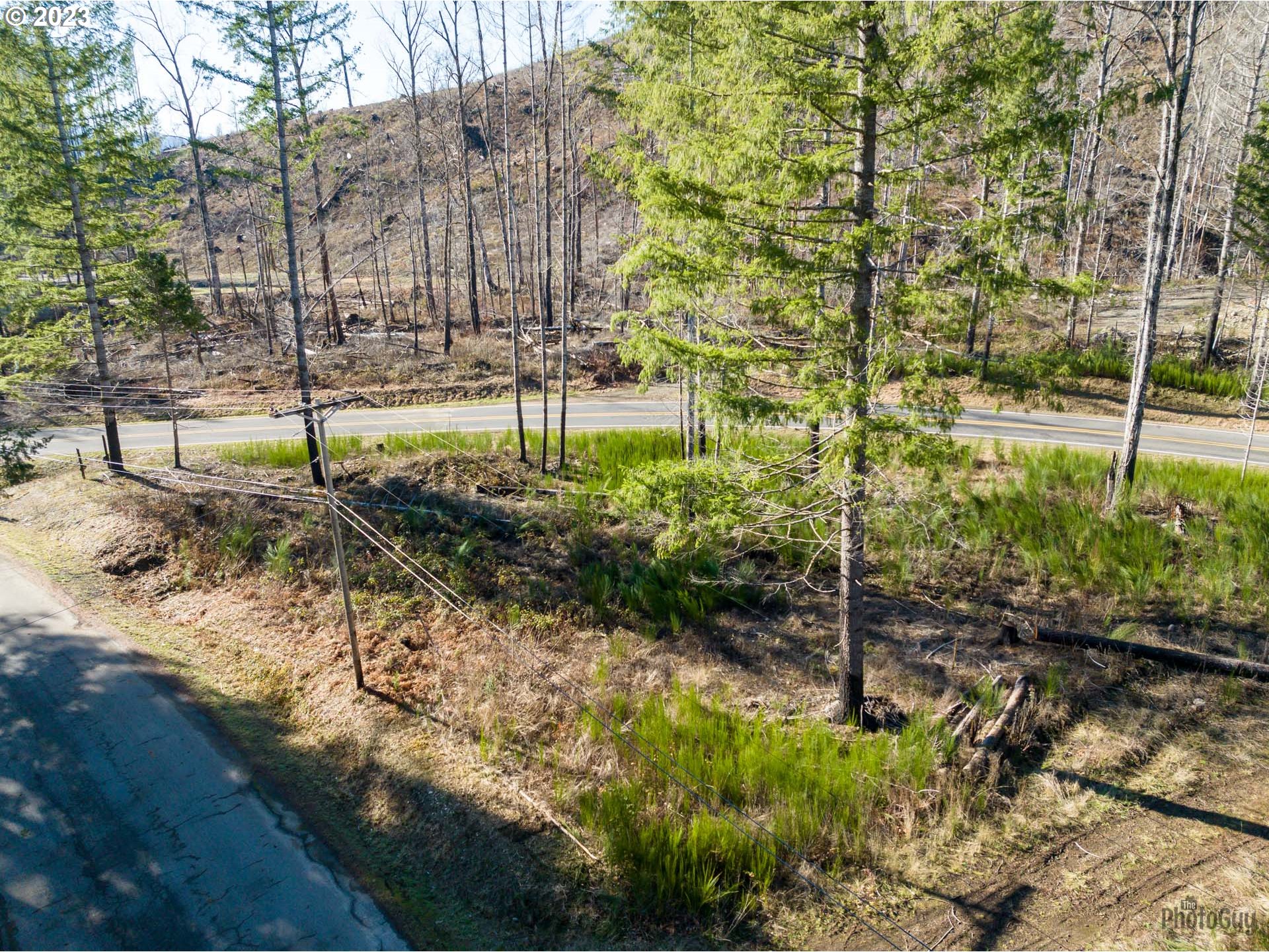 Marbrook Lane Blue River, OR 97413 - Photo 4 of 24 Gallery Image 4