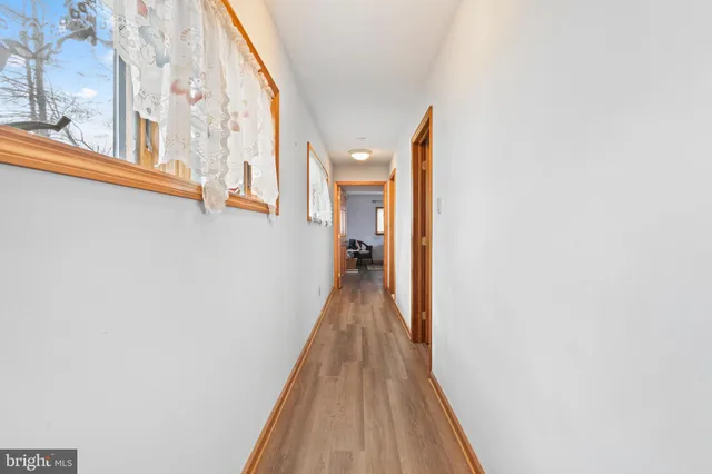 a view of a hallway with wooden floor and a potted plant