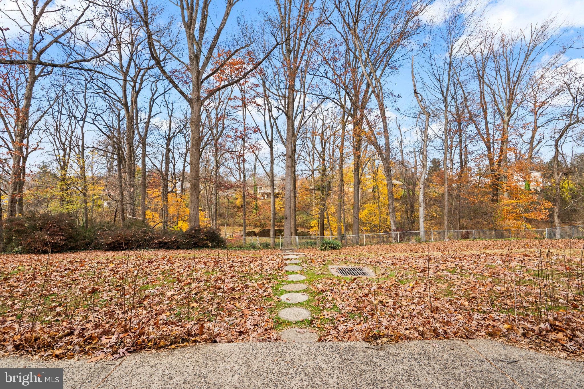 164 Trenton Road Langhorne, PA 19047 - Photo 39 of 51 a street view with large trees