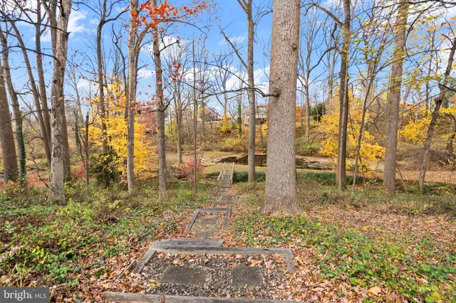 a view of yard with trees