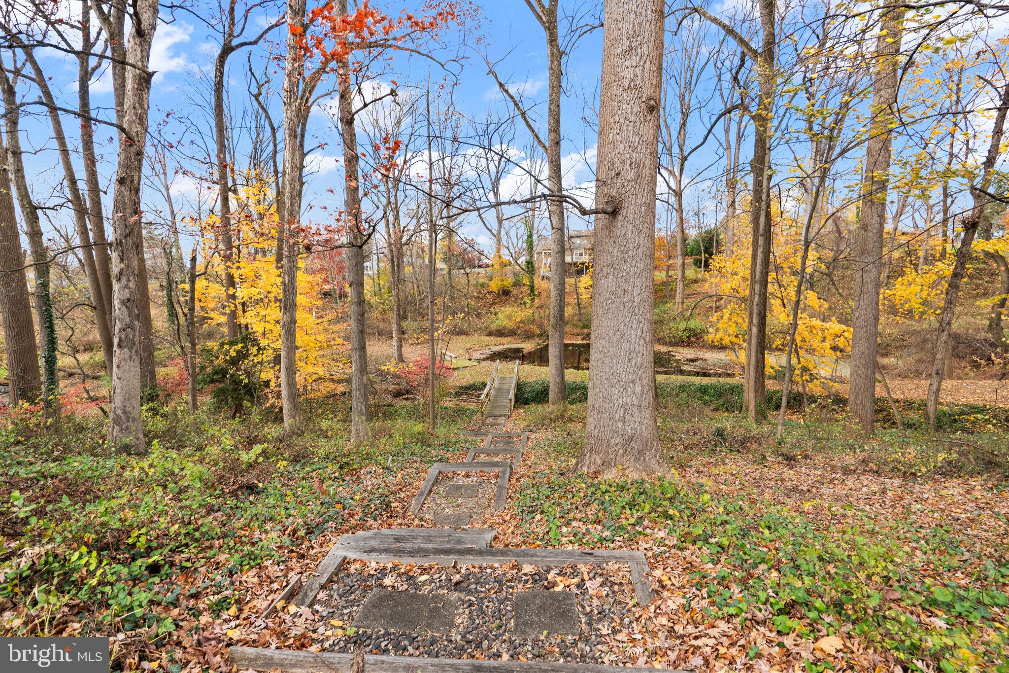 164 Trenton Road Langhorne, PA 19047 - Photo 41 of 51 a view of yard with trees