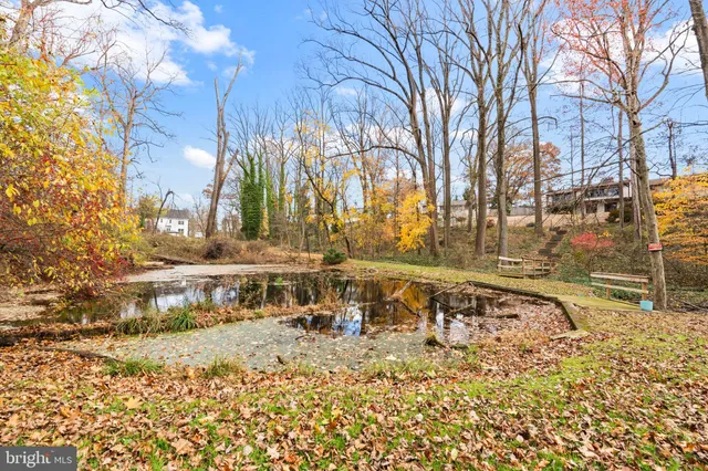 a view of a large yard with a large tree