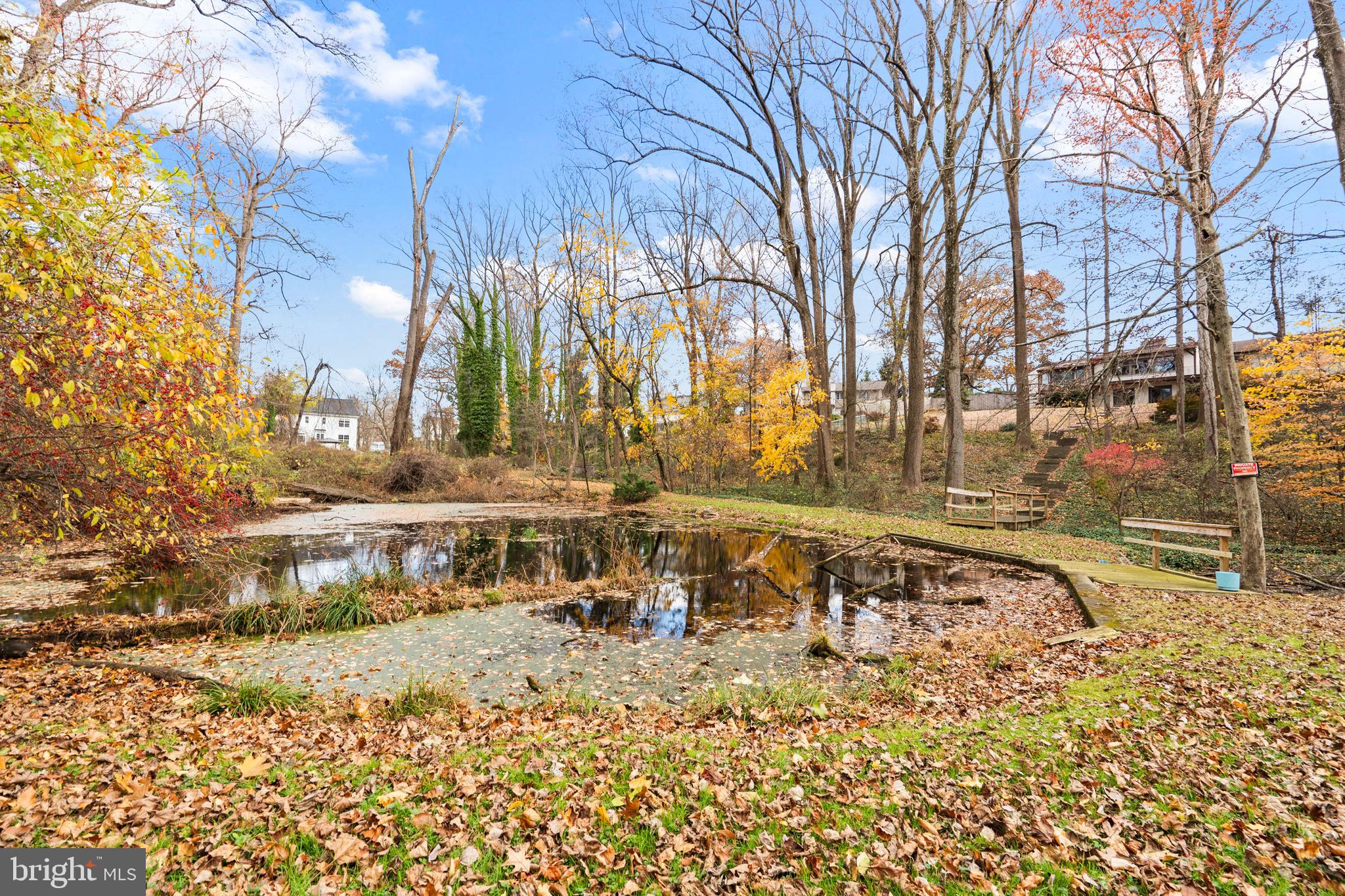 164 Trenton Road Langhorne, PA 19047 - Photo 43 of 51 a view of a large yard with a large tree