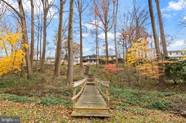 a view of a yard with plants and trees